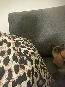 little dreamer  online show from 03-09-26, 07:18