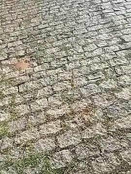 DiamanteNegro90 online show from 04-07-26, 11:43