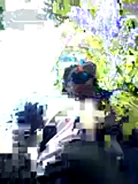 Snapshot of ShadowLove85 chatting on 05-29-26, 01:42 ShadowLove85 online show from 05-29-26, 01:42