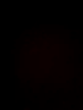 Snapshot of plump-bums chatting on 02-16-26, 12:56 plump-bums online show from 02-16-26, 12:56