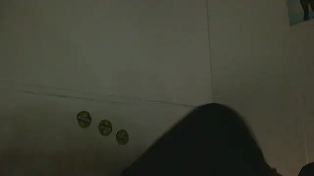 Snapshot of pbilip7787 chatting on 02-25-26, 09:46 pbilip7787 online show from 02-25-26, 09:46