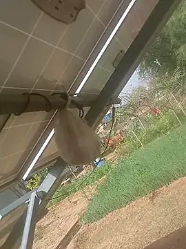 Snapshot of mastmalai chatting on 03-17-26, 04:39 mastmalai online show from 03-17-26, 04:39