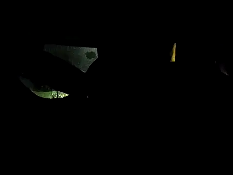dustbunny64 online show from 06-25-26, 11:04