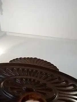 fegostosa12 online show from 03-11-26, 09:37