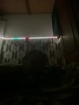 salimi26 online show from 02-25-26, 07:12