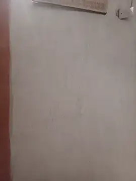 Snapshot of negopreto_ chatting on 07-19-26, 02:48 negopreto online show from 07-19-26, 02:48