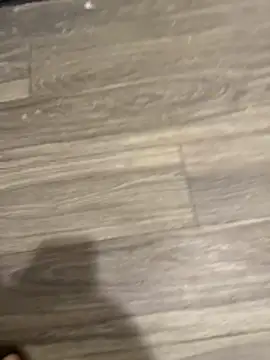 SavorredEscapist online show from 02-26-26, 06:45