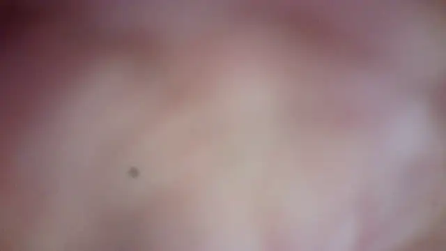 truble78 online show from 03-26-26, 07:08