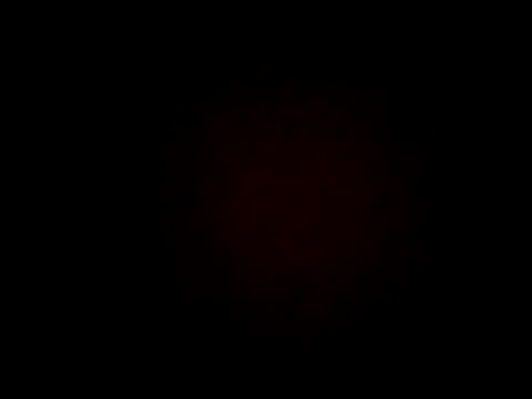 wifedesi7050 online show from 04-07-26, 04:24