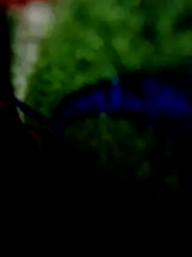 wifedesi7050 online show from 04-20-26, 08:21