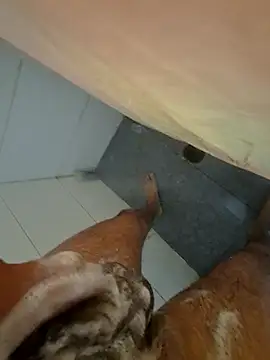 Edu235 online show from 03-29-26, 02:50