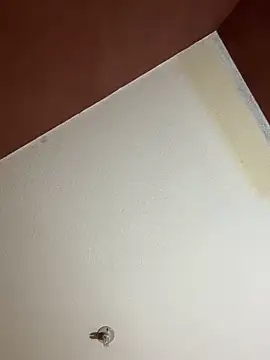 MoonGoddess424 online show from 02-24-26, 04:10