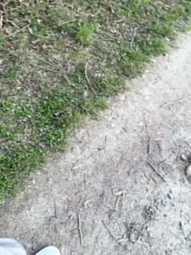 aras  25 online show from 03-09-26, 02:43