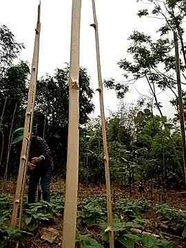 lyly sexx online show from 04-01-26, 02:01