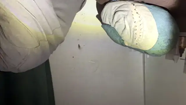 Mark Shoyer2 online show from 04-23-26, 10:12