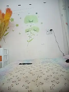 Meow cute online show from 07-06-26, 06:43
