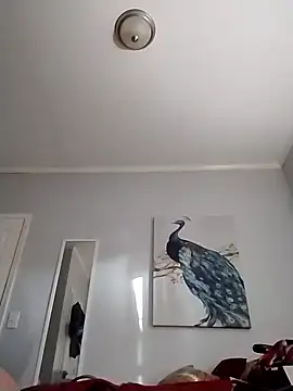 coestet online show from 04-03-26, 10:30