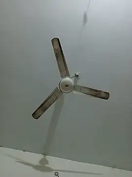 Snapshot of kulsum2 chatting on 03-02-26, 10:38 kulsum2 online show from 03-02-26, 10:38