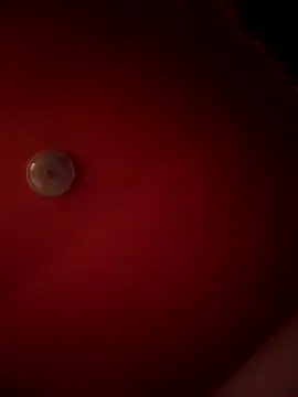 Snapshot of alexandruElena chatting on 02-28-26, 06:20 alexandruElena online show from 02-28-26, 06:20