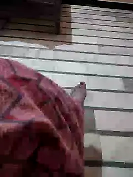 Snapshot of Tamillaxmi12 chatting on 03-01-26, 03:58 Tamillaxmi12 online show from 03-01-26, 03:58