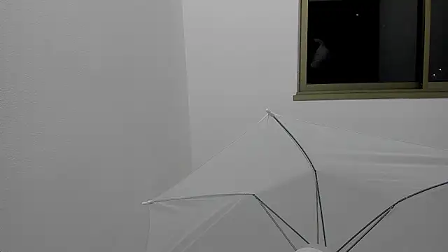 Mnell28 online show from 03-05-26, 06:31