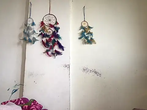 HoleyCoupon  online show from 03-06-26, 10:56