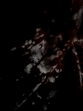 Couple hot999 online show from 03-04-26, 02:56