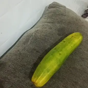 Snapshot of puta_casada chatting on 03-07-26, 03:03 puta casada online show from 03-07-26, 03:03