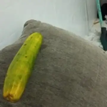 Snapshot of puta_casada chatting on 03-07-26, 07:22 puta casada online show from 03-07-26, 07:22