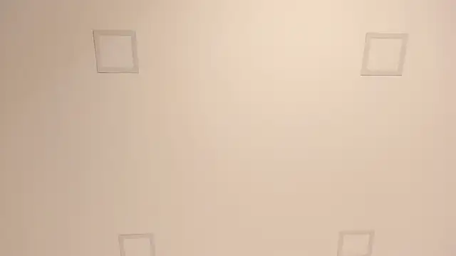 lilly williamss online show from 04-09-26, 06:19