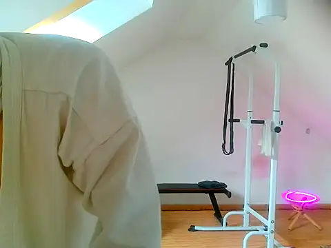Snapshot of NinjaLaser chatting on 04-13-26, 11:27 NinjaLaser online show from 04-13-26, 11:27