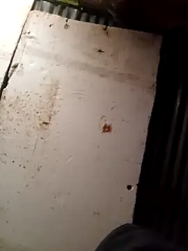 Snapshot of cuteboy023dick chatting on 03-15-26, 01:50 cuteboy023dick online show from 03-15-26, 01:50