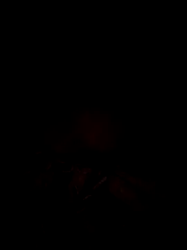 tina2005 online show from 03-31-26, 07:58