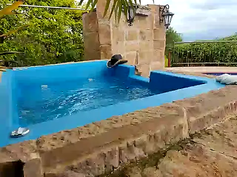 wildestatecouple online show from 03-17-26, 06:11