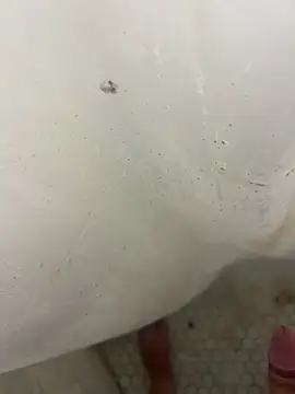 Jacobhj online show from 04-20-26, 07:48