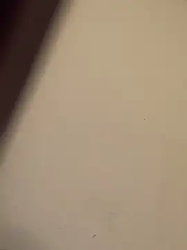 Snapshot of buivali00 chatting on 03-15-26, 11:38 buivali00 online show from 03-15-26, 11:38