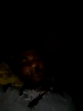 Palash2001 online show from 04-18-26, 05:50