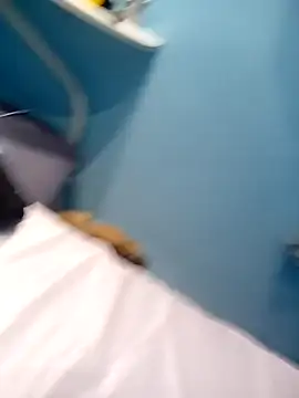 Negaopeludodom online show from 04-11-26, 02:16