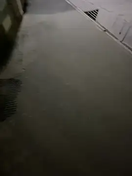 Wildlovee online show from 04-12-26, 08:58