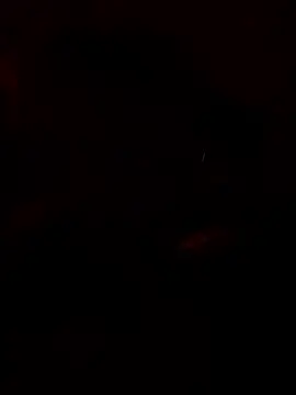 chefyahwan online show from 04-13-26, 09:48
