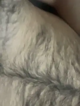 TurkishBoyzs online show from 04-11-26, 07:29