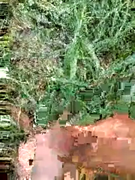 Snapshot of luck00y chatting on 06-14-26, 12:29 luck00y online show from 06-14-26, 12:29