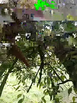 Snapshot of xjkedv chatting on 06-06-26, 06:45 xjkedv online show from 06-06-26, 06:45