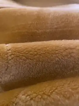 Ashwak trans online show from 04-04-26, 12:02