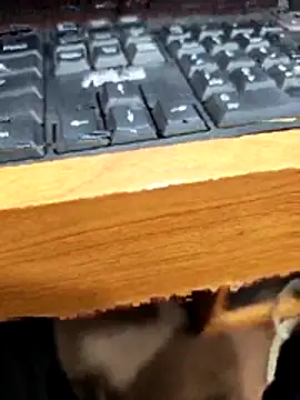 Snapshot of SLBL chatting on 03-27-26, 05:46 SLBL online show from 03-27-26, 05:46