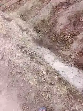 Snapshot of xmanraavan chatting on 03-28-26, 01:38 xmanraavan online show from 03-28-26, 01:38