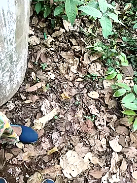 Snapshot of Chandni78 chatting on 04-02-26, 07:50 Chandni78 online show from 04-02-26, 07:50