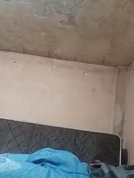 Alcon347 online show from 04-08-26, 01:16