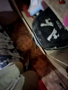 Matheus Enrique online show from 04-15-26, 03:41