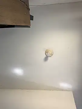 sanches 065 online show from 04-06-26, 04:52